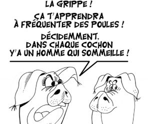 Cochon cochon