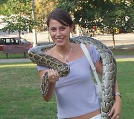 Serpent à poil