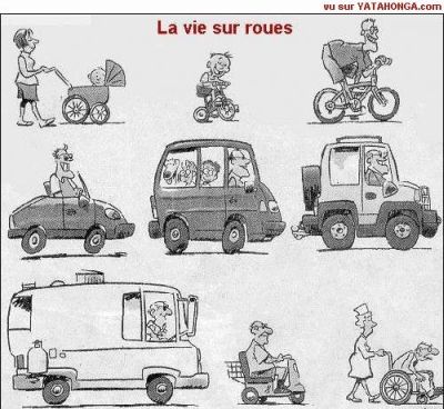 Evolution