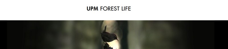 La vie de la Forêt